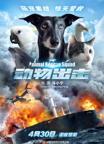 美国zoom动物仙踪林介绍